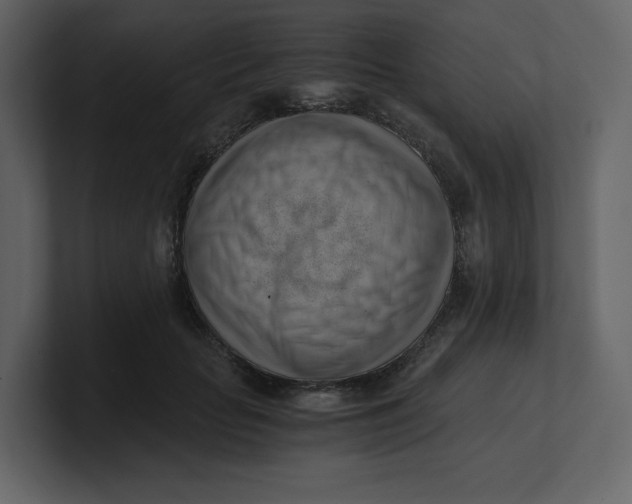 X0000100930653200807151245