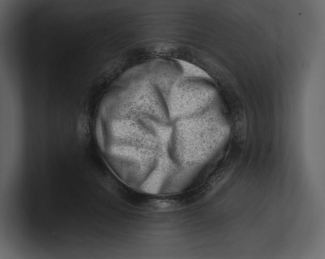 X0000100930654200807151245