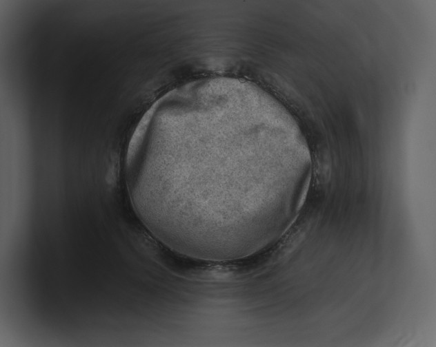 X0000100930656200807151245