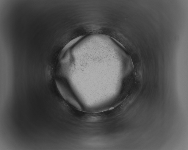 X0000100930658200807151245