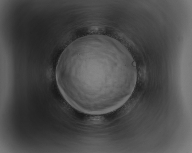 X0000100930659200807151245