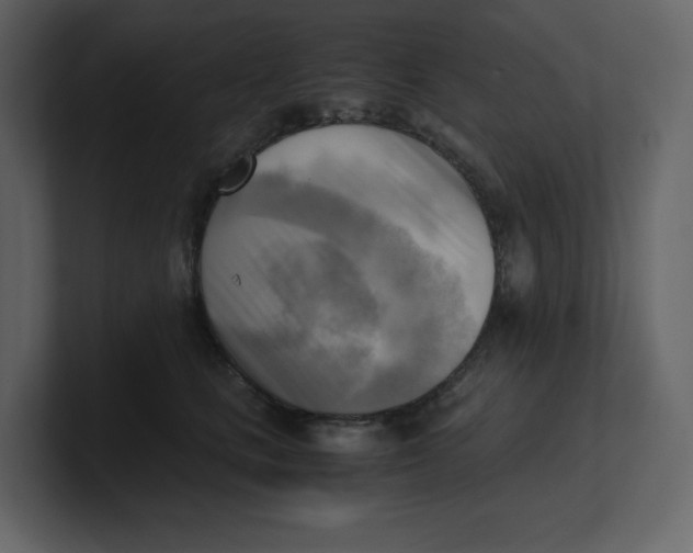 X0000100930661200807151245