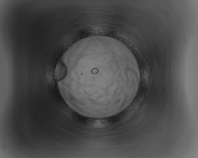 X0000100930663200807151245