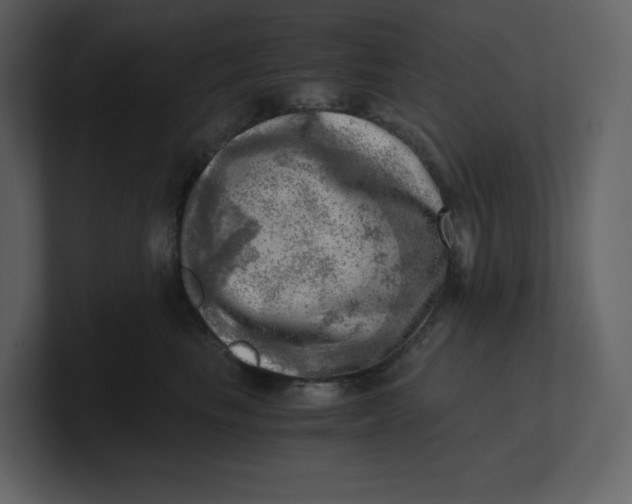 X0000100930665200807151245