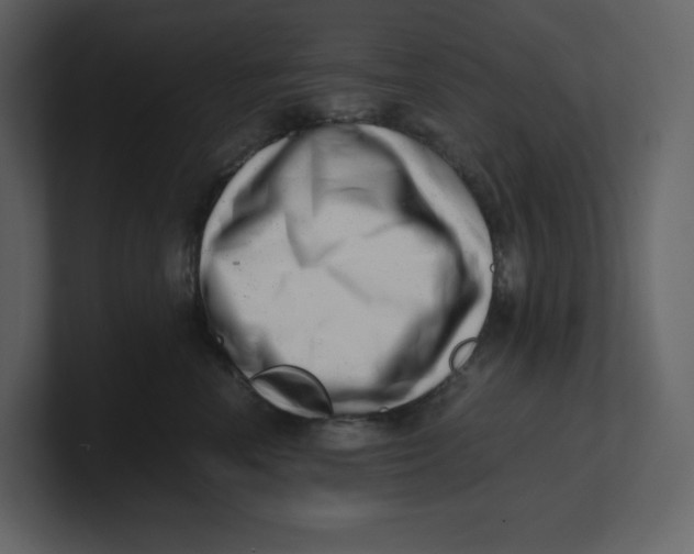 X0000100930666200807151245