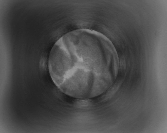 X0000100930671200807151245