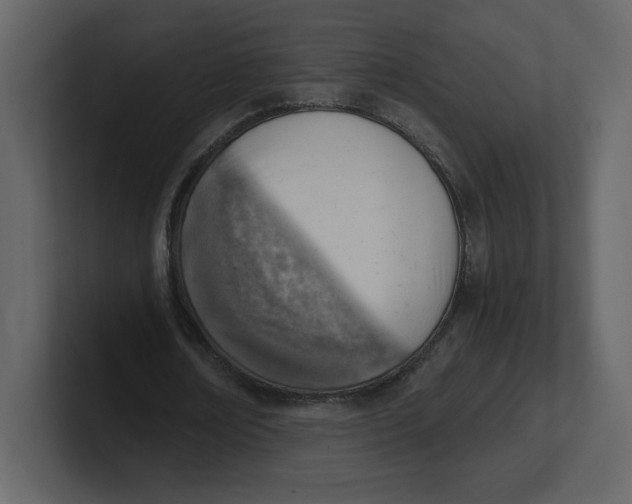 X0000100930674200807151245