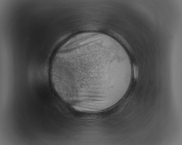 X0000100930675200807151245