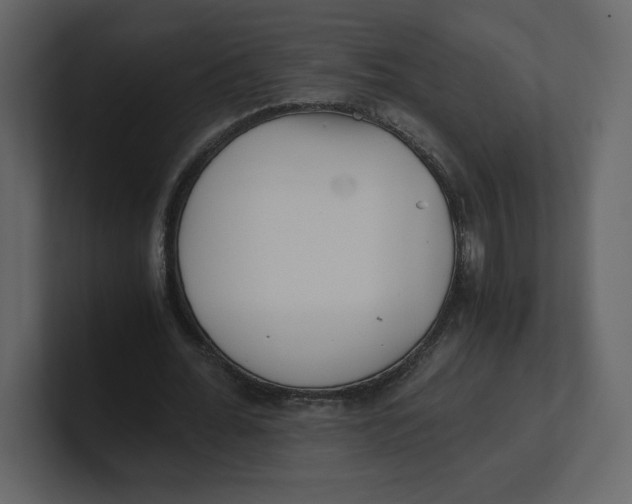 X0000100930676200807151245