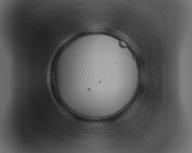 X0000100930677200807151245