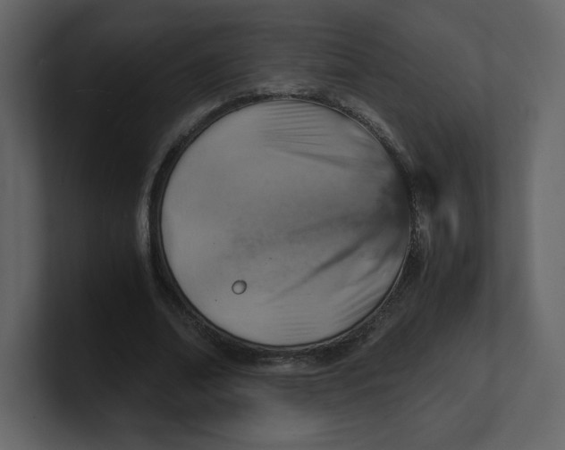 X0000100930678200807151245