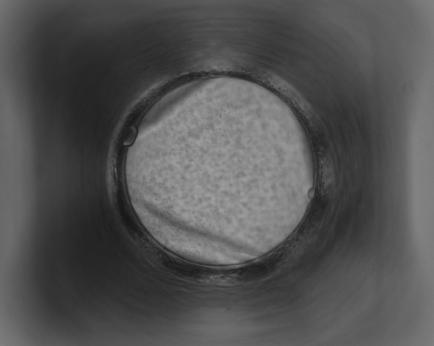 X0000100930680200807151245