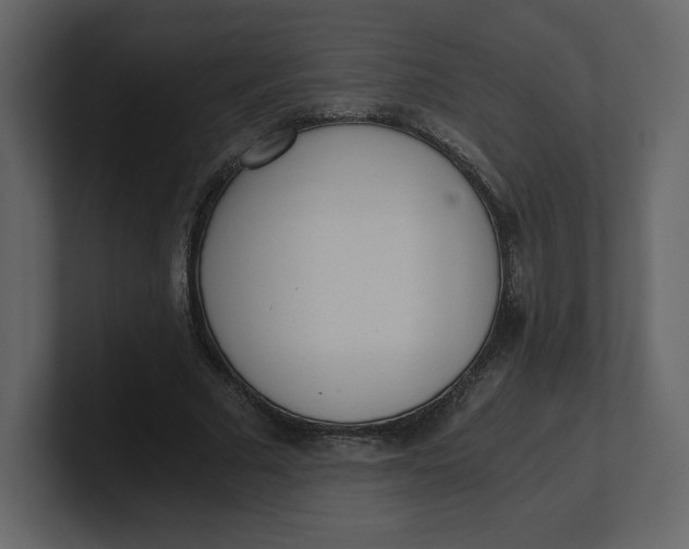 X0000100930681200807151244