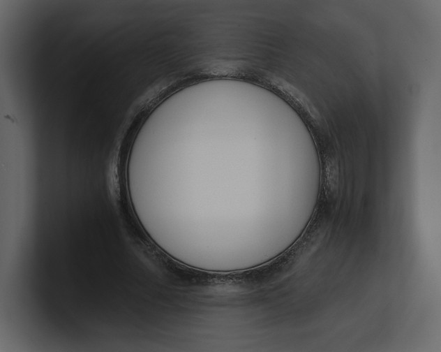 X0000100930682200807151244