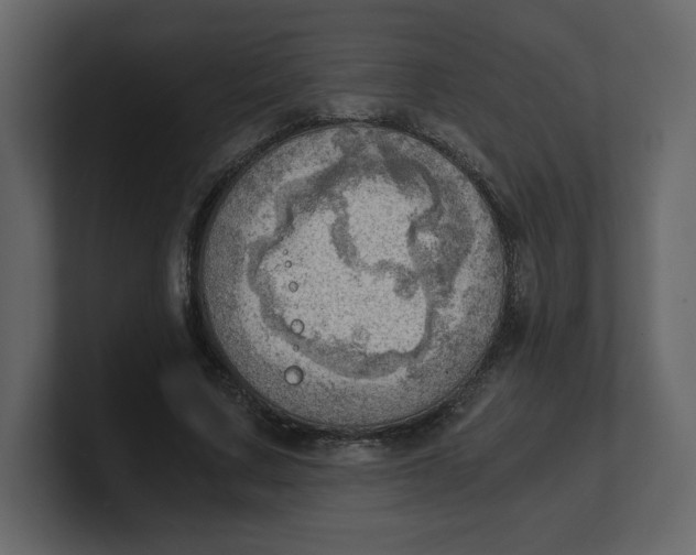 X0000100930683200807151244