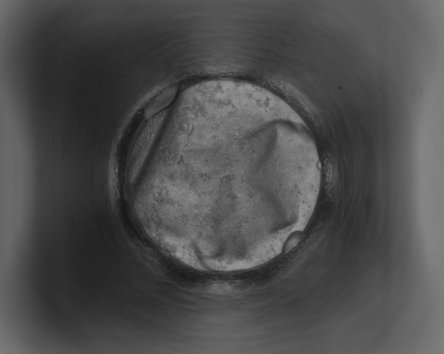 X0000100930684200807151244