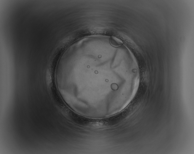 X0000100930687200807151244