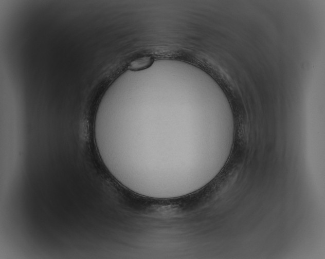 X0000100930689200807151244