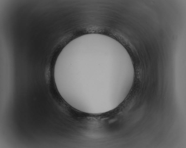 X0000100930690200807151244