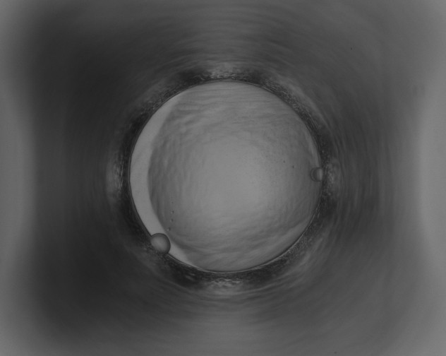 X0000100930691200807151244