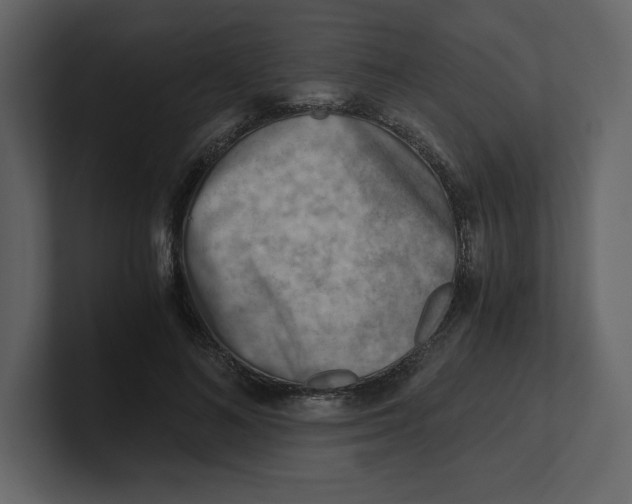 X0000100930692200807151244