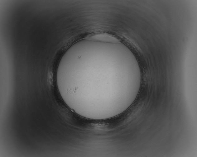 X0000100930693200807151244