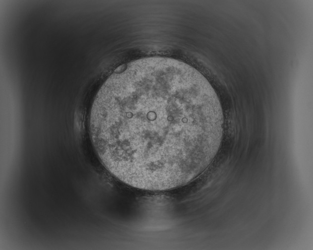 X0000100930695200807151244