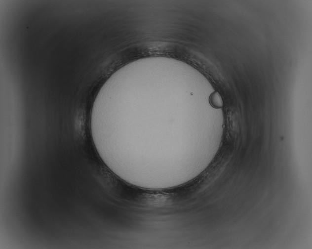 X0000100930698200807151244