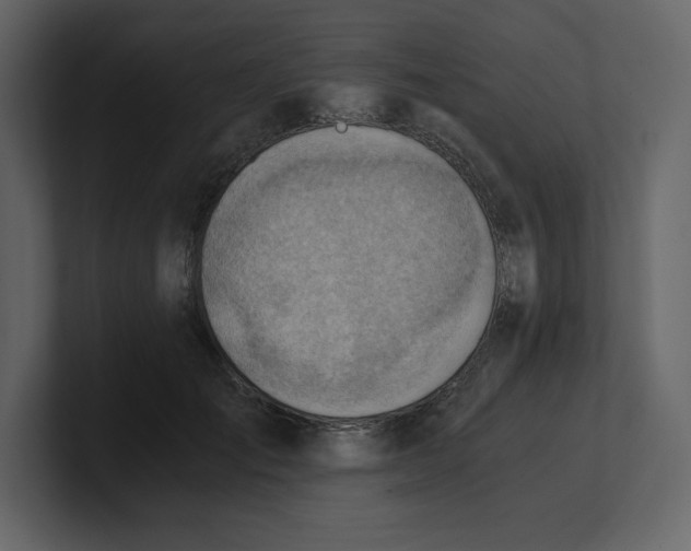 X0000100930701200807151244