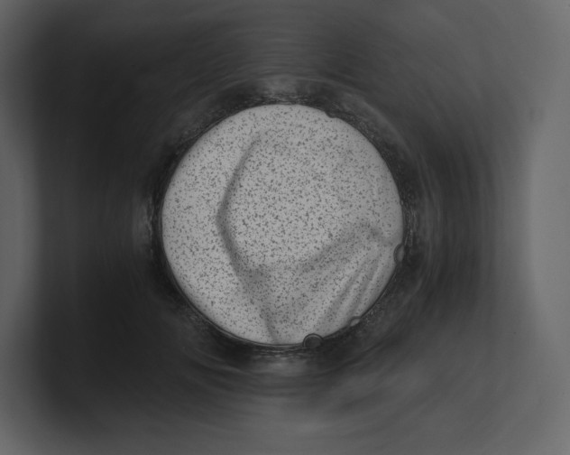 X0000100930702200807151244