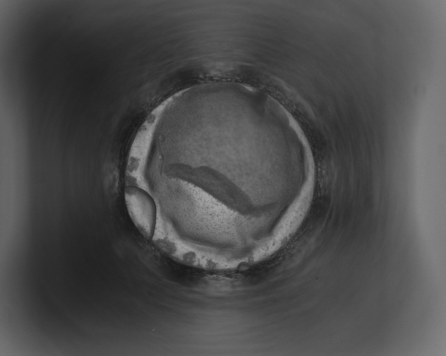 X0000100930703200807151244