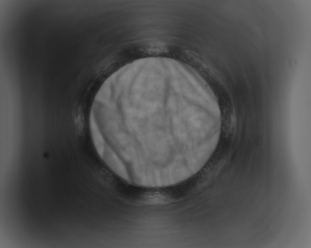 X0000100930704200807151244