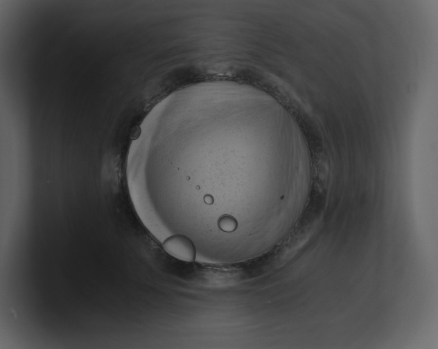 X0000100930707200807151244