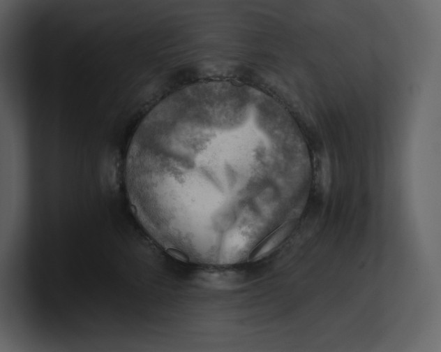 X0000100930712200807151244