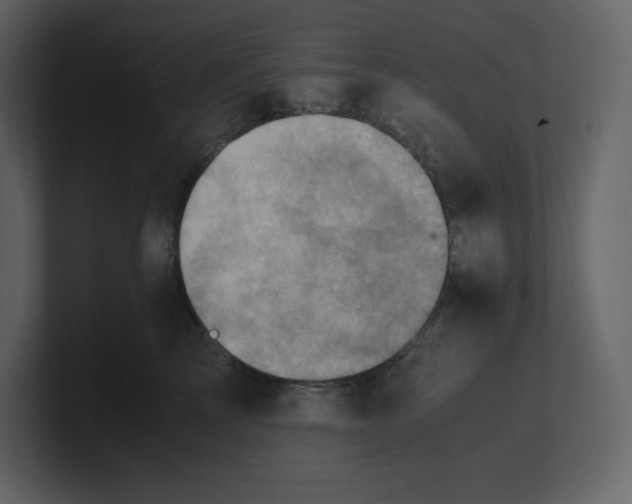 X0000100930713200807151244