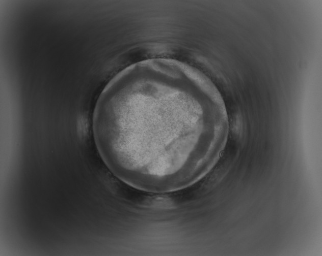 X0000100930715200807151244