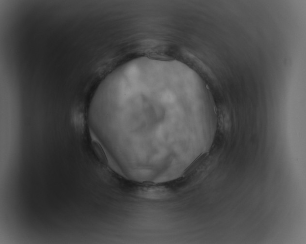 X0000100930716200807151244