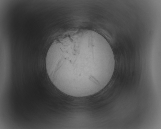 X0000100930717200807151244