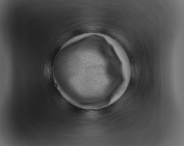 X0000100930718200807151244