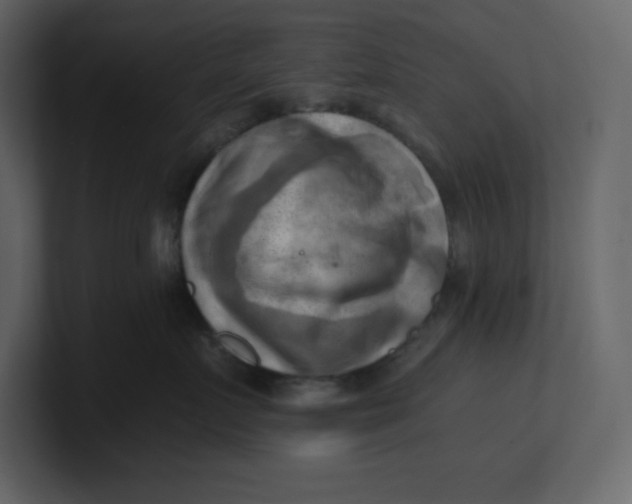 X0000100930719200807151244