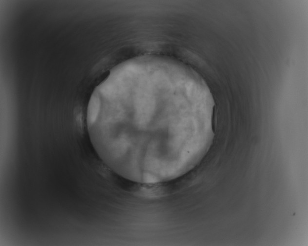 X0000100930720200807151244