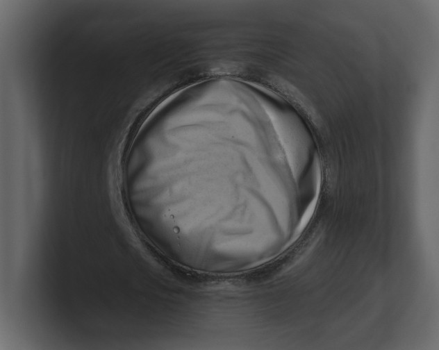 X0000100930721200807151243