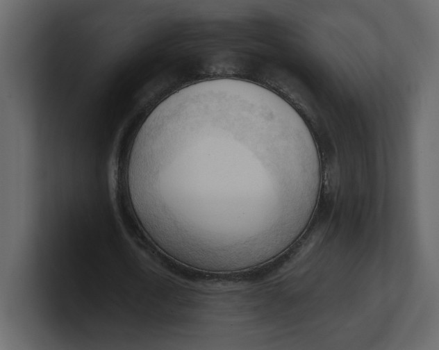 X0000100930722200807151243