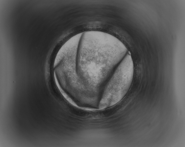 X0000100930727200807151243