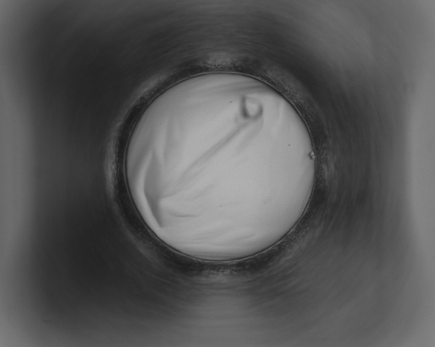 X0000100930728200807151243