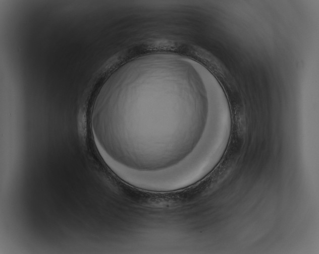 X0000100930729200807151243