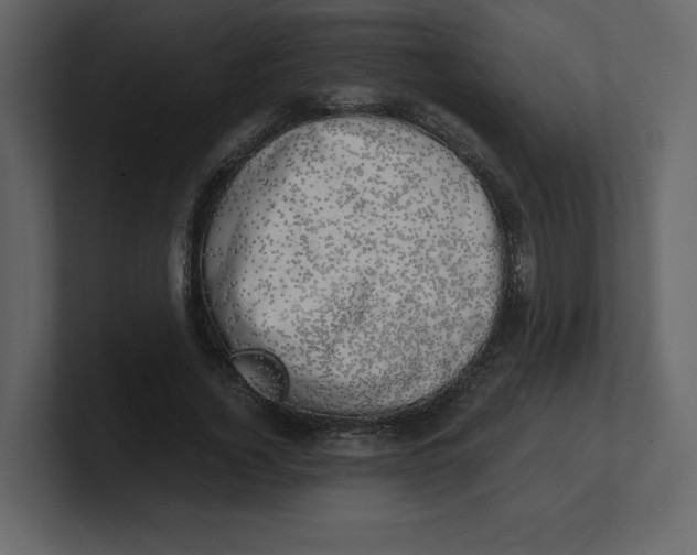 X0000100930732200807151243