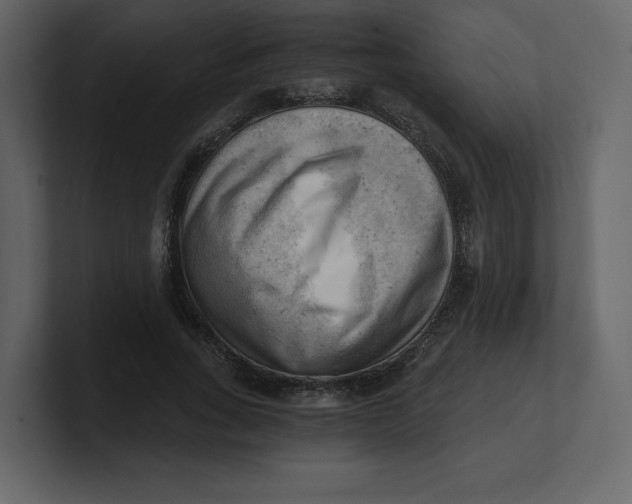 X0000100930735200807151243