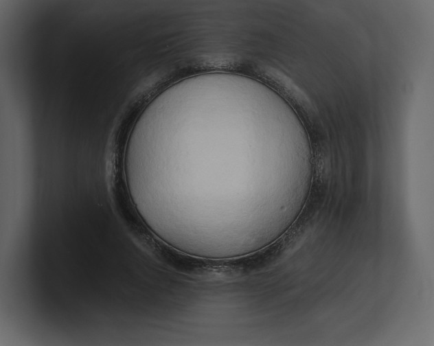 X0000100930736200807151243