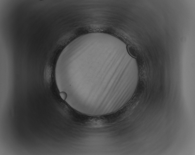 X0000100930742200807151244